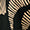 pantalon imprimé